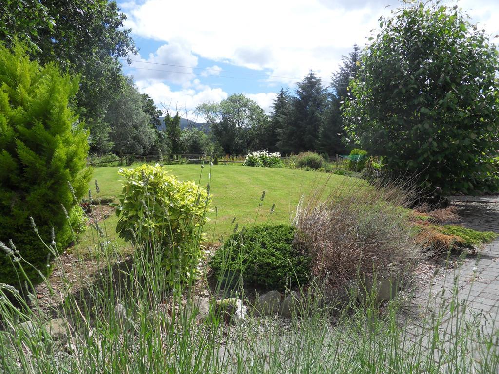 Ethan Cottage Killarney Buitenkant foto