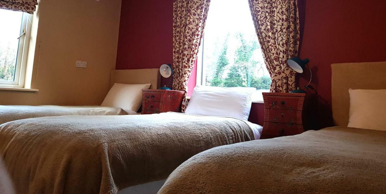 Ethan Cottage Killarney Buitenkant foto