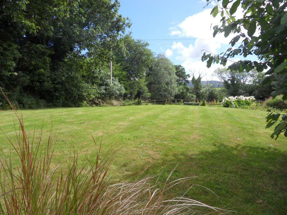 Ethan Cottage Killarney Buitenkant foto