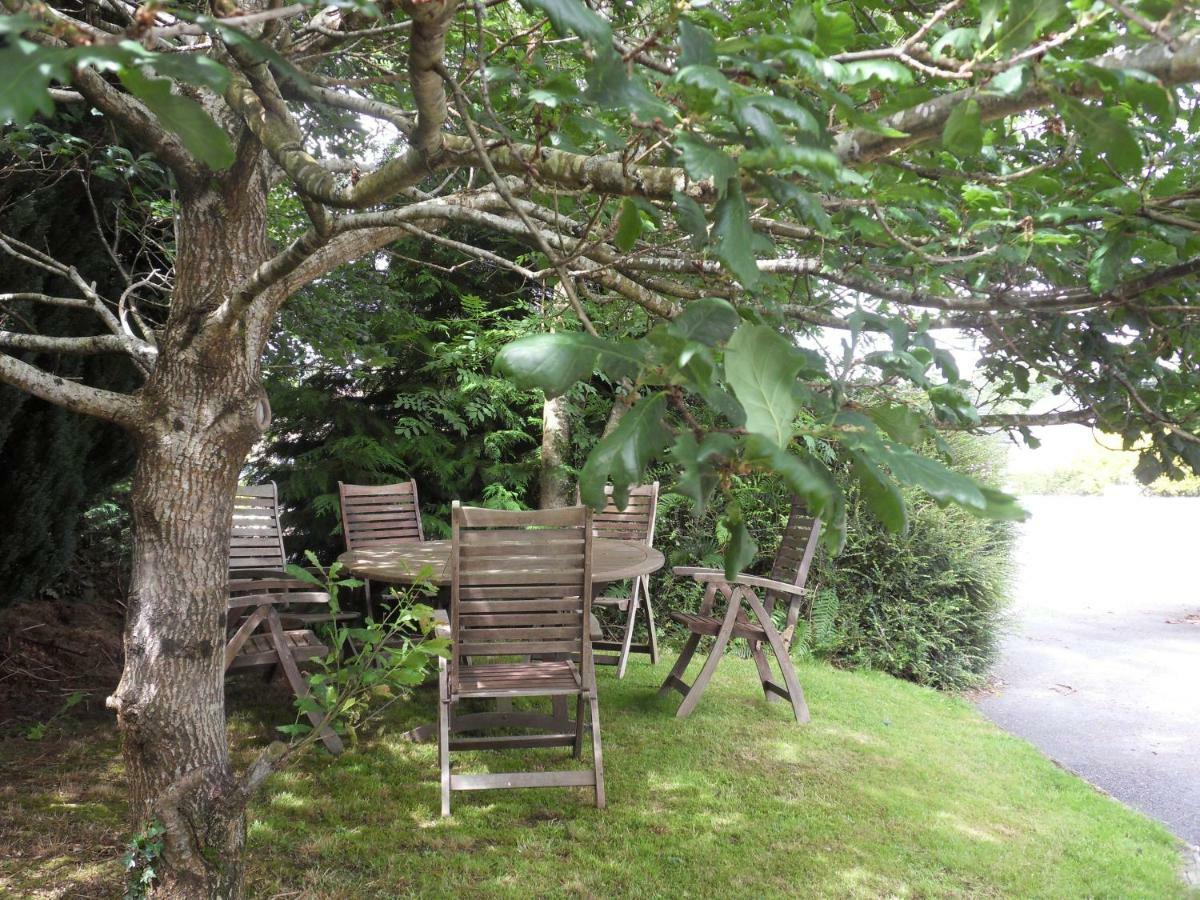Ethan Cottage Killarney Buitenkant foto